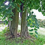 P1470667