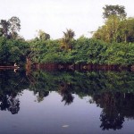 Typische Amazonaslandschaft Typische Amazonaslandschaft