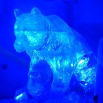 (Eis)Bär