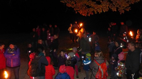 Den Zauber der Nacht genießen P1200478