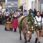 Die zweite Herde auf dem Weg zum Scheidplatz