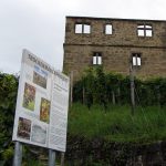 Die Y-Burg